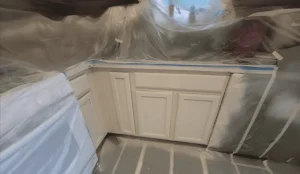 Tristar - After Cabinet Makeover Painted Cabinets below sink